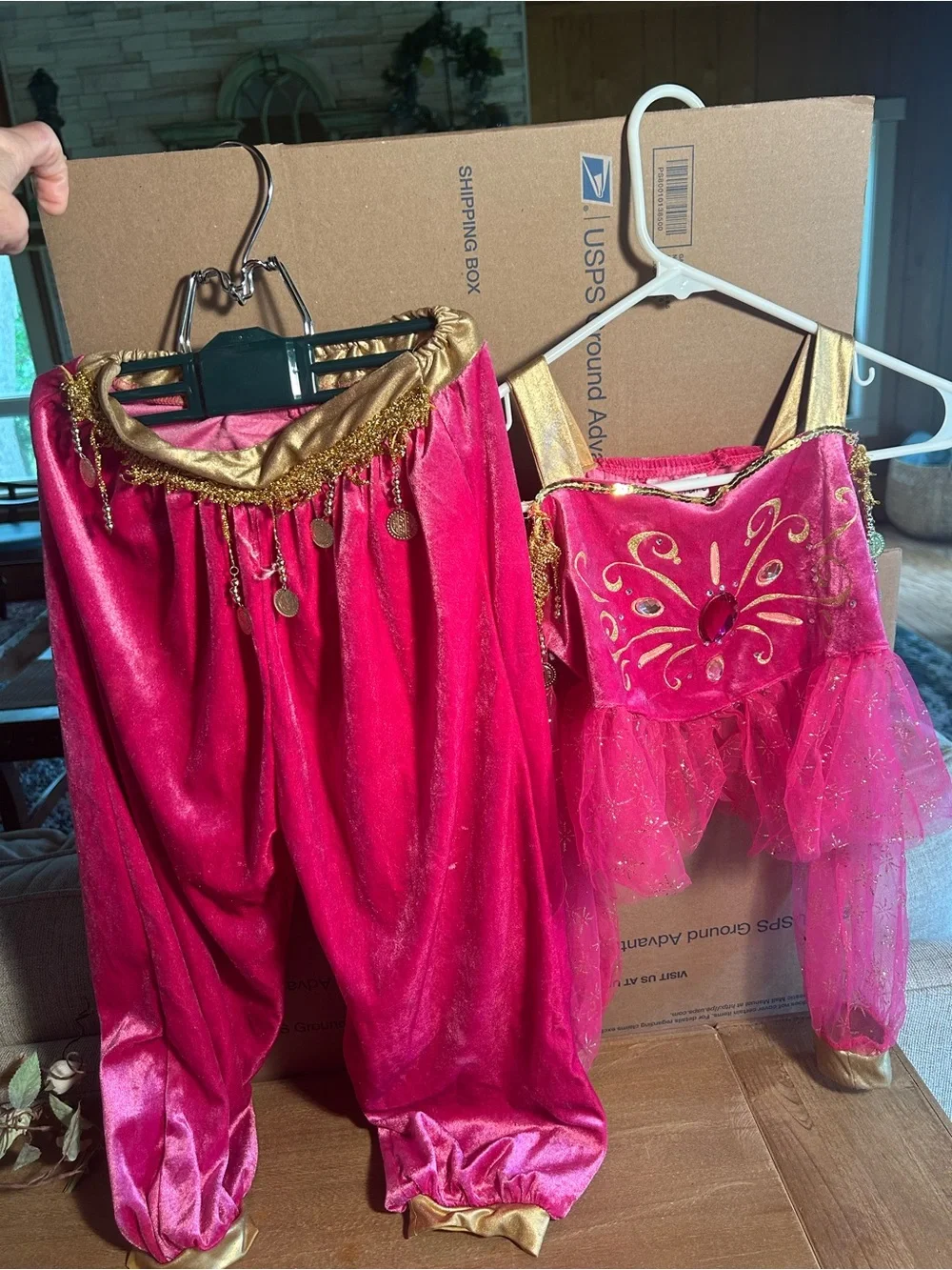 Halloween Girls' Hot Pink Princess Top and pants with Gold Accents